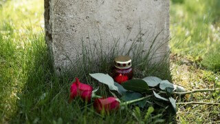 Когда убирать венки с могилы после захоронений? Обычаи и советы фото