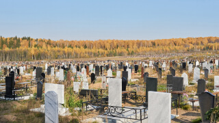 Чи можна прибирати чужу могилу? Поради та застереження. фото